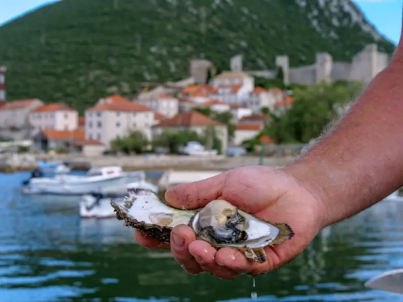 Stone Oysters