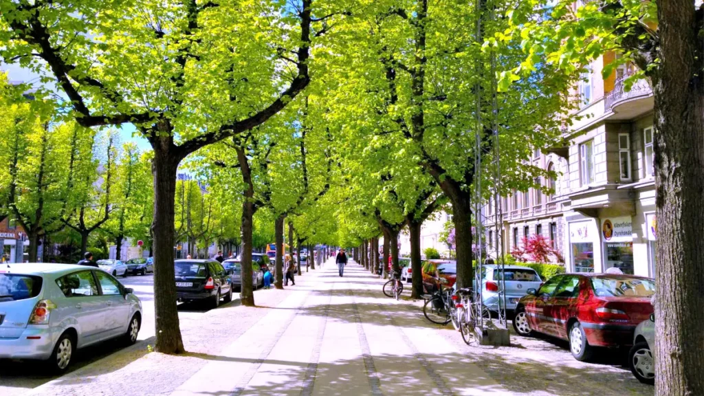 
Frederiksberg district