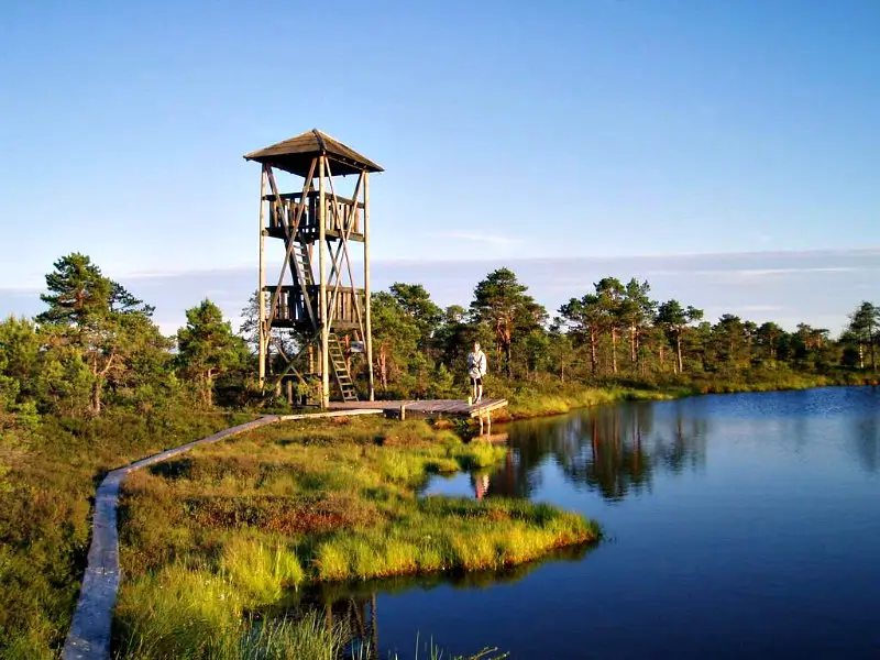 Marimetsa bog hiking trail