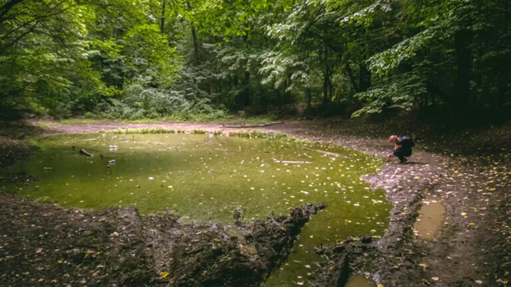 Balta Vrajitoarelor pond